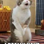 Funny cat meme at PMSLweb.com