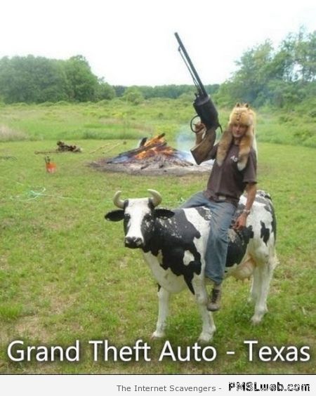 Grand theft auto texas – Funny Tuesday collection at PMSLweb.com