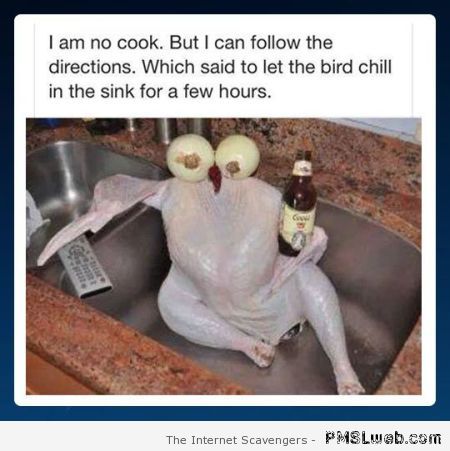Let the bird chill in the sink at PMSLweb.com
