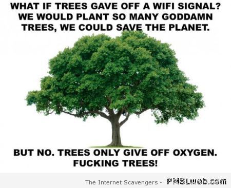 If trees gave off wifi signal meme at PMSLweb.com