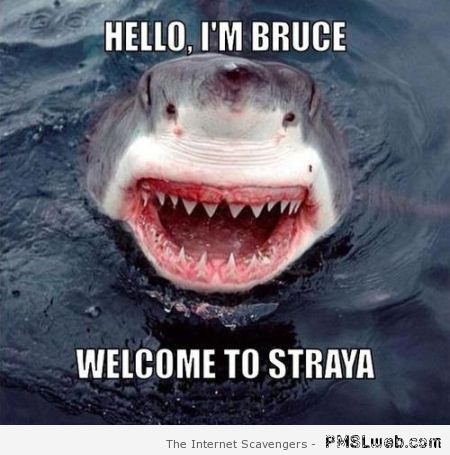 Hello I’m Bruce welcome to Straya at PMSLweb.com