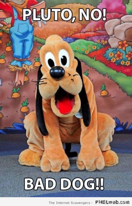 Pluto no bad dog meme – Tgif rofl at PMSLweb.com