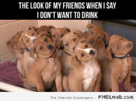 The look of my friends when I say I don’t want to drink at PMSLweb.com