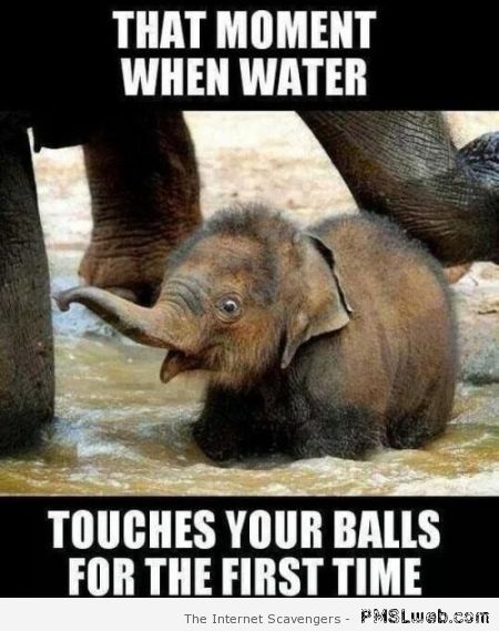 Water touches your balls for the first time at PMSLweb.com