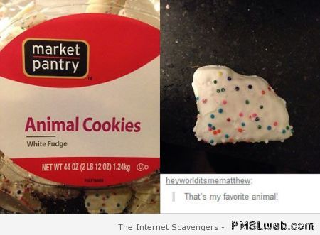 My favorite animal cookie at PMSLweb.com