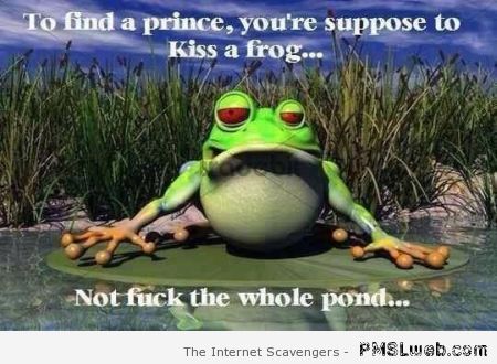 To find a prince you’re suppose to kiss a frog at PMSLweb.com