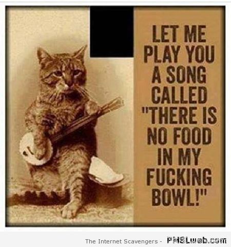 Let me play you a song cat humor – Fun Saturday at PMSLweb.com