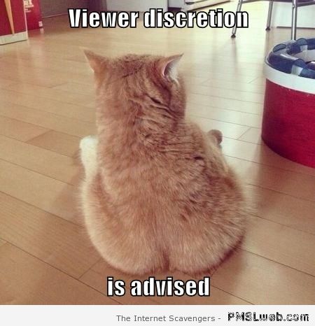 Viewer discretion is advised cat meme at PMSLweb.com