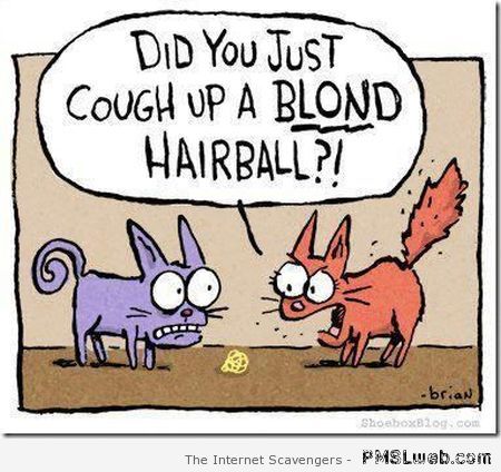 Cat relationship humor at PMSLweb.com