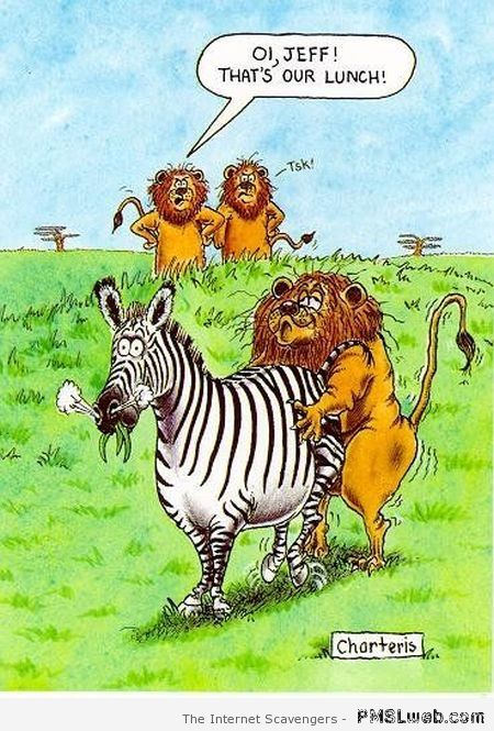 Lion humping zebra cartoon at PMSLweb.com