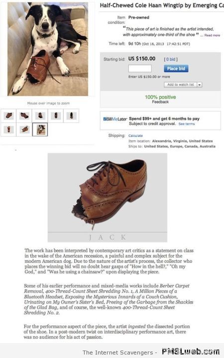 Half chewed shoe on ebay at PMSLweb.com