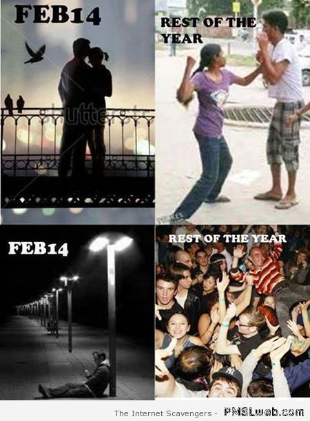 Valentine’s day – Love humor at PMSLweb.com