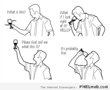 Funny wine tasting meme at PMSLweb.com