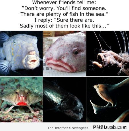 Plenty of fish in the sea funny at PMSLweb.com