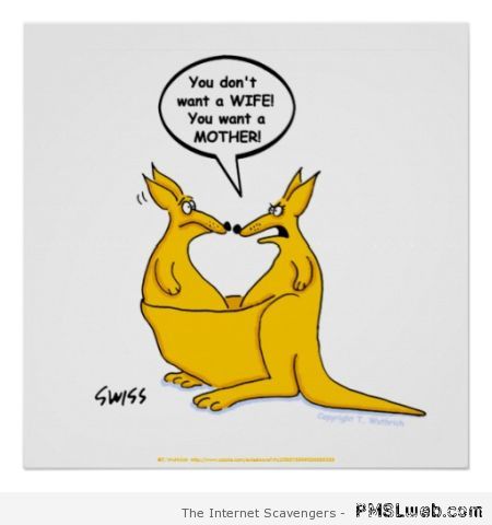 Kangaroo wife husband humor at PMSLweb.com