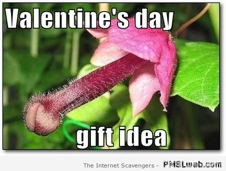 Valentine’s day gift idea meme at PMSLweb.com