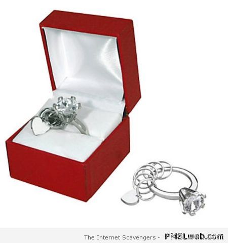Wedding ring key-ring at PMSLweb.com