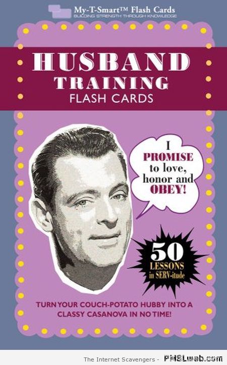 Husband training flash cards at PMSLweb.com