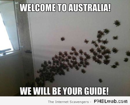 Welcome to Australia we will be your guide at PMSLweb.com