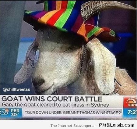 Goat wins court battle at PMSLweb.com