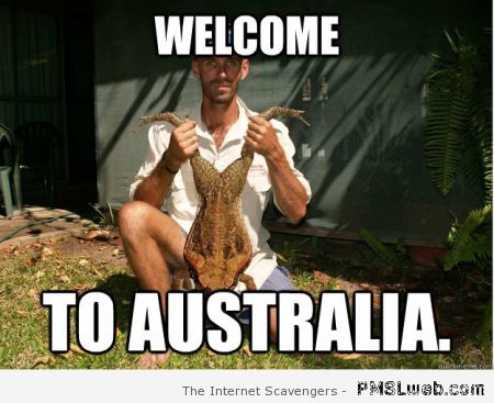 Welcome to Australia toad meme at PMSLweb.com