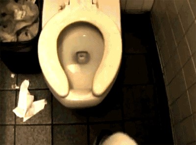 Spider in toilet gif – Welcome to Straya at PMSLweb.com