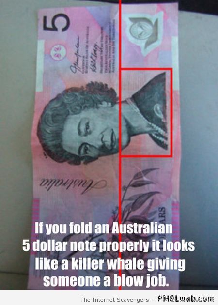 Aussie 5 dollar note humor at PMSLweb.com