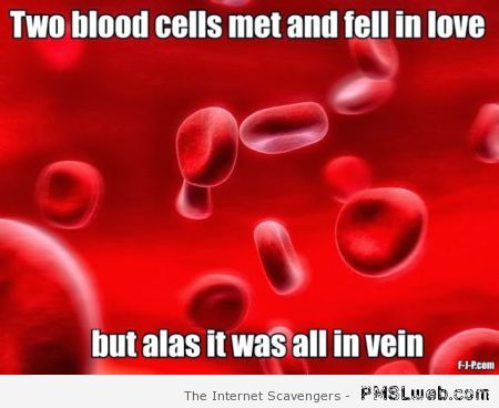Two blood cells fell in love meme at PMSLweb.com