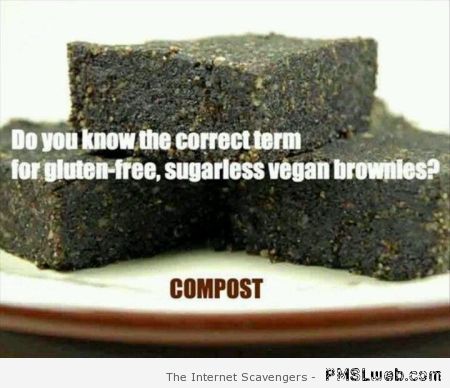 Sugarless vegan brownies humor at PMSLweb.com