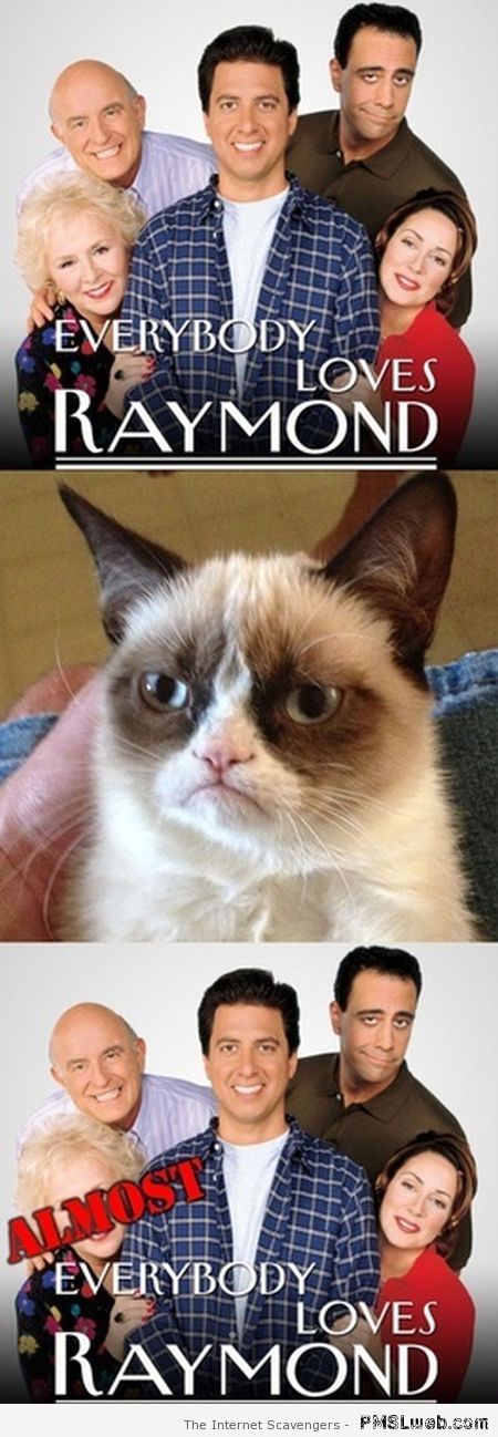 Everyone loves Raymond grumpy cat funny at PMSLweb.com
