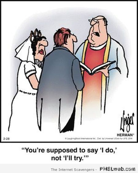 Funny wedding cartoon at PMSLweb.com
