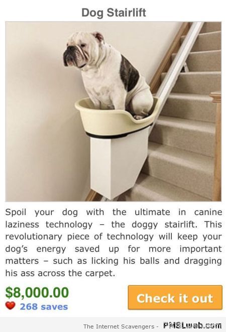 Funny dog stairlift ad at PMSLweb.com
