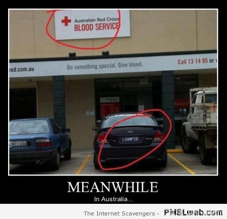 Meanwhile in Australia vampire – Thursday funny pictures at PMSLweb.com