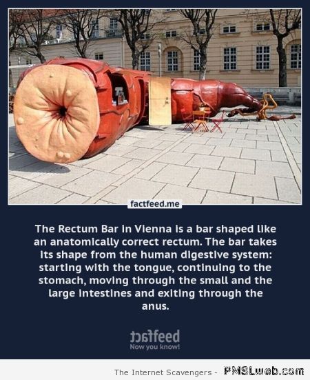 The rectum bar at PMSLweb.com