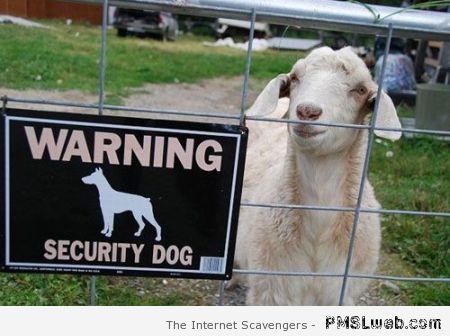 Warning security sheep at PMSLweb.com