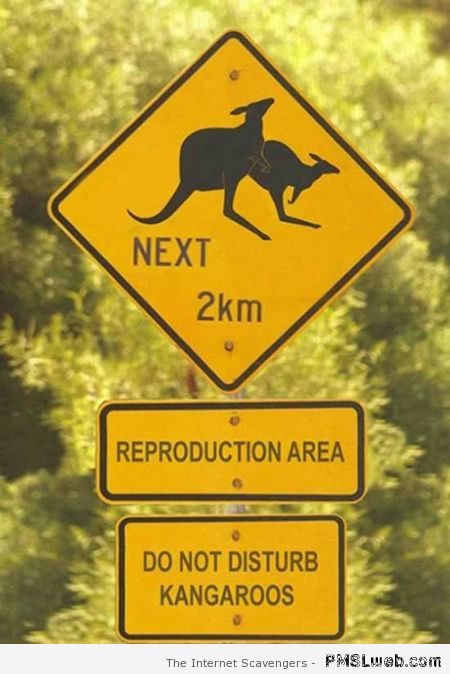 Funny Aussie Kangaroo sign at PMSLweb.com