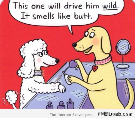Dog perfumery cartoon at PMSLweb.com