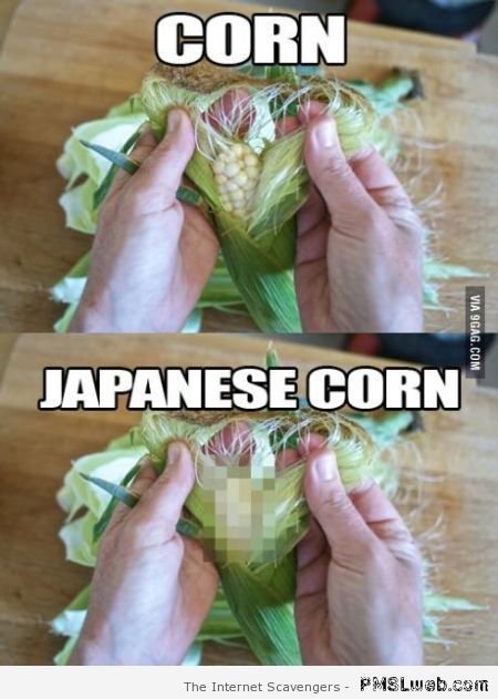 Japanese corn funny at PMSLweb.com
