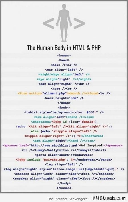 The human body in HTML and PHP at PMSLweb.com