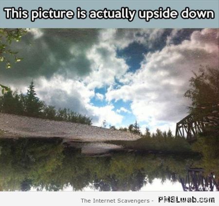 This picture is actually upside down – Funny Tuesday at PMSLweb.com