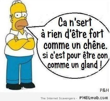 Fort comme un chêne, con comme un gland – Funny French pictures at PMSLweb.com