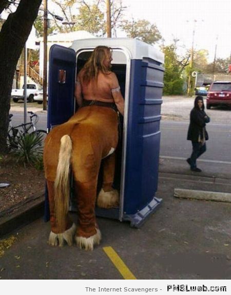 Centaur in toilet funny at PMSLweb.com