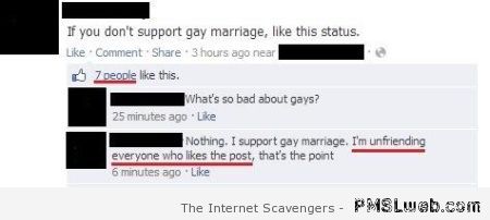 Gay rights comment win on Facebook at PMSLweb.com