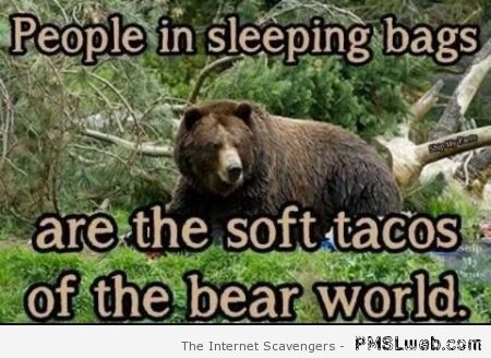 People in sleeping bags bear humor at PMSLweb.com