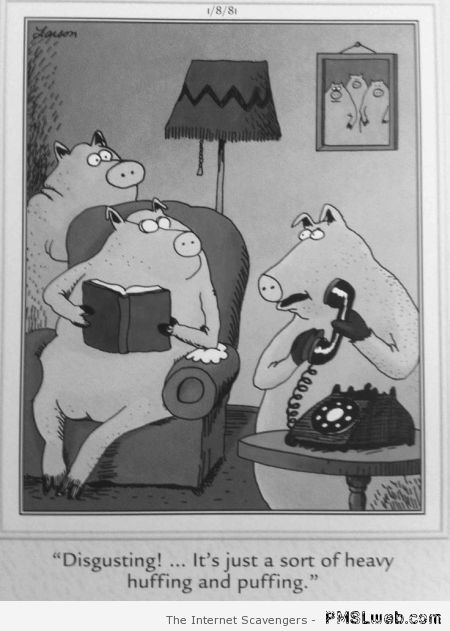 3 little pigs funny cartoon at PMSLweb.com