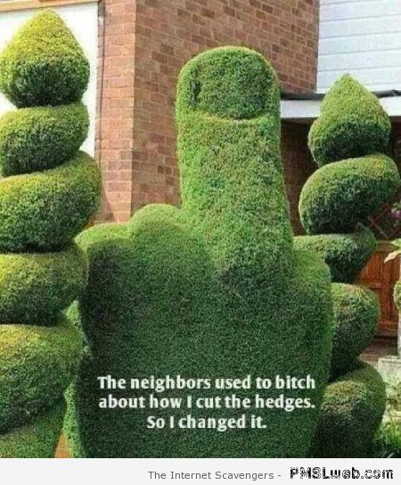 The neighbors use to bitch about how I’d cut the hedges at PMSLweb.com
