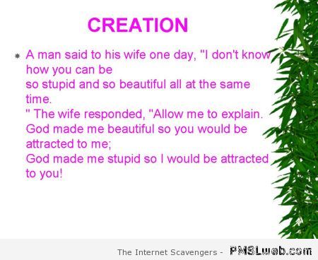 Husband and wife creation joke at PMSLweb.com