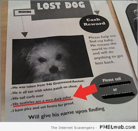 Lost dog with dark testicles – Weekend fun at PMSLweb.com