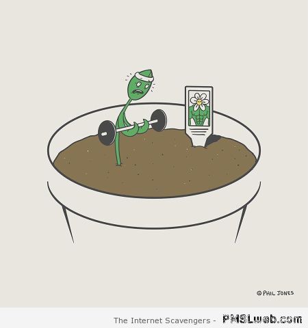 Pot plant training cartoon at PMSLweb.com