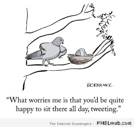 Bird tweeting humor – Saturday funnies at PMSLweb.com